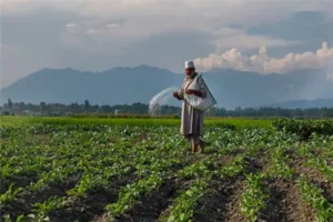 Jammu and Kashmir Agriculture: Battling Food Deficit and Nurturing Growth