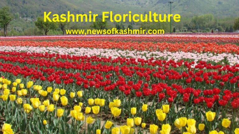 SKUAST-K Revolutionizing Kashmir’s Floriculture Industry