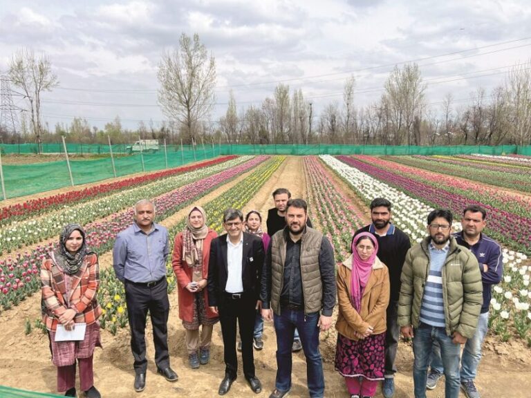 CSIR IIIM Jammu Cultivates Tulip Varieties in Pulwama, Boosting Floriculture Mission