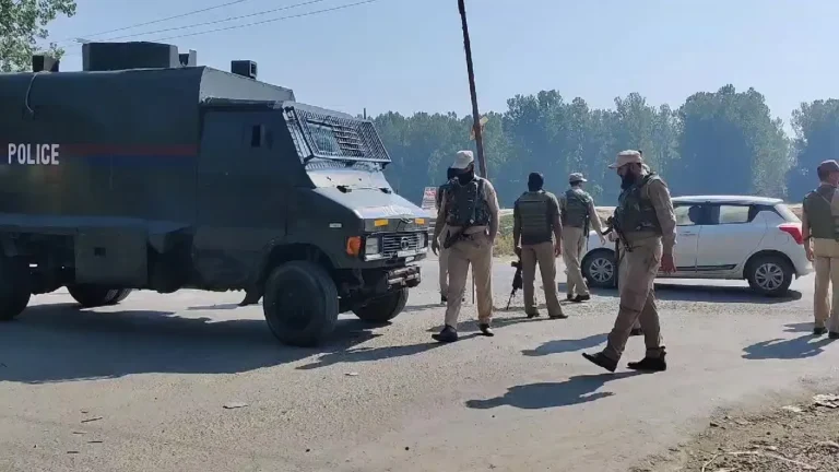 Firing Stops in Pulwama Encounter, Search Operations Continue