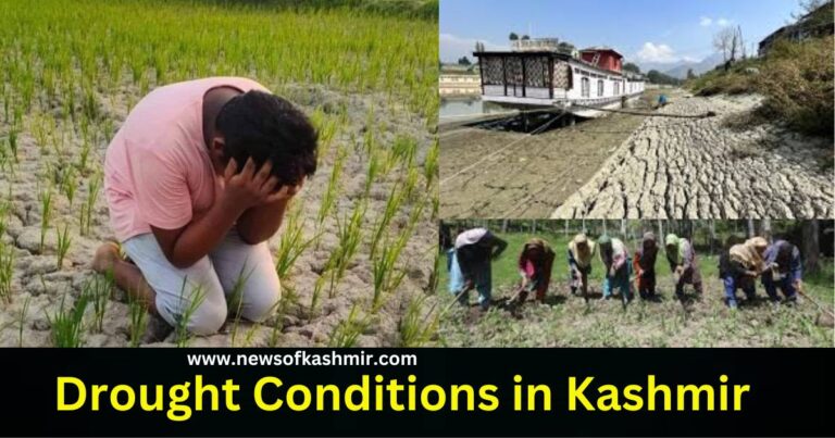 Managing Orchard Health During Drought Conditions in Kashmir