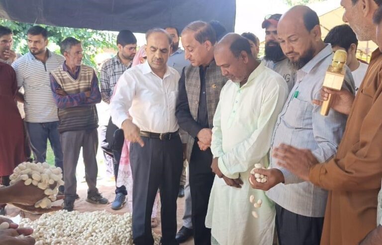 Cocoon Auction at Pulwama, Director Sericulture and Additional Director kashmir visits Market