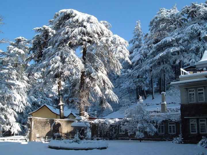 snowfall in kashmir