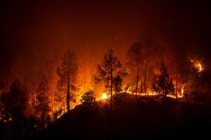 Forest Fire in Bhaderwah