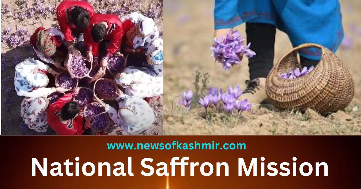 National Saffron Mission