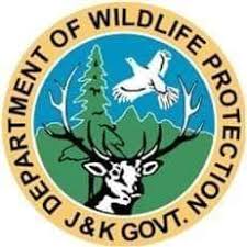 Wildlife Department