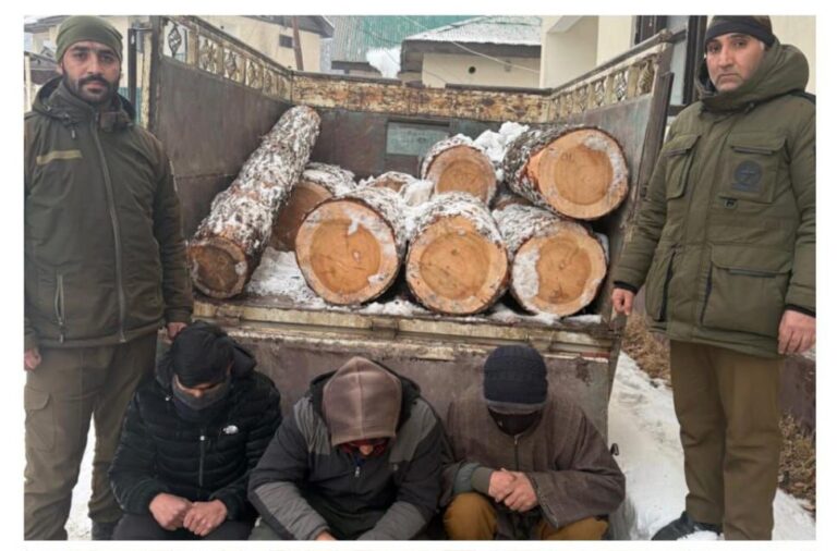 Timber Seized in Baramulla