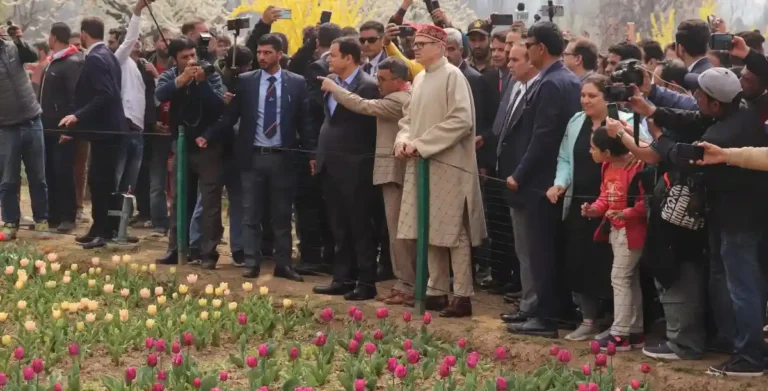 Tulip Garden