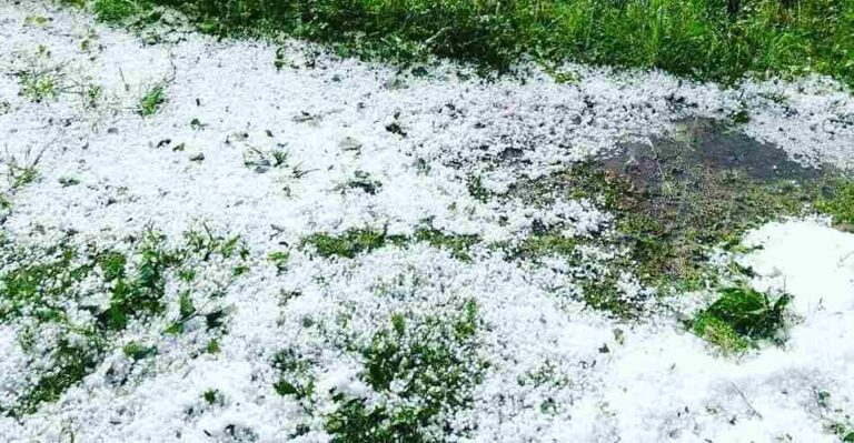 Hailstorm Damage