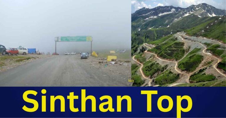 Sinthan Top
