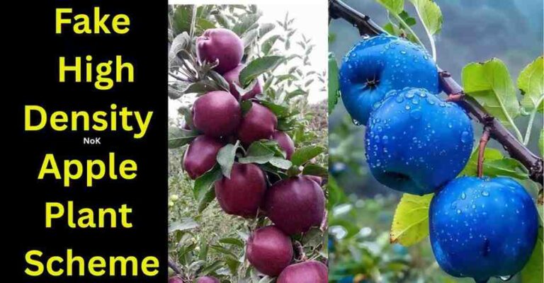 Fake High-Density Apple