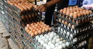 Market Eggs