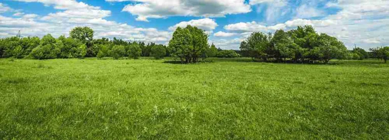 Sallar Anantnag for SKUAST