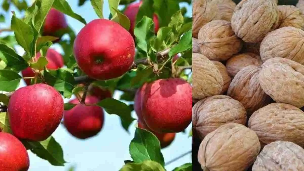 India–US Trade Deal