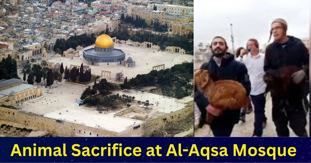 Aerial view of mosque with procession.