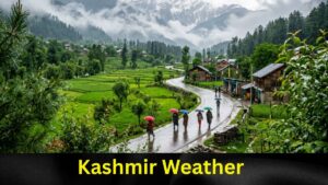 Thunderstorms, Heavy Rain