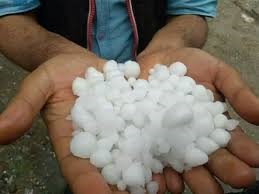 Hailstorm Damages Apple Orchards