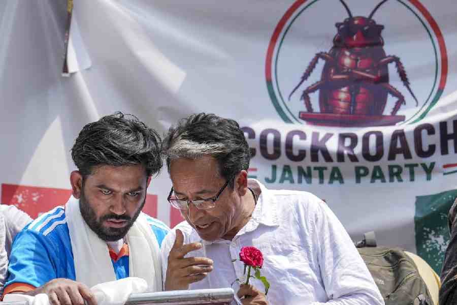 Meet the Cockroach Janta Party