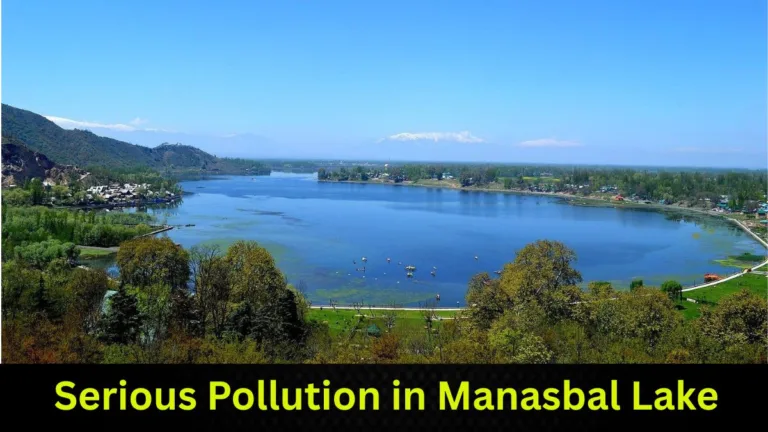 Serious Pollution in Manasbal Lake