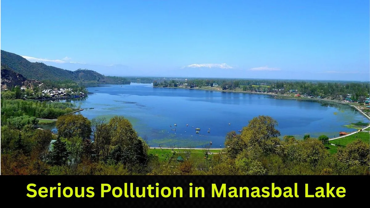 Serious Pollution in Manasbal Lake
